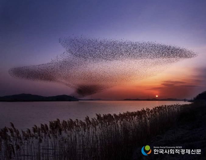 서천군, ‘2025 서천철새여행’ 29~30일 개최