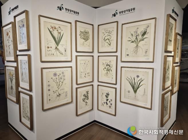 포천시, 한탄강의 아름다운 색채를 담은 압화 전시 개최